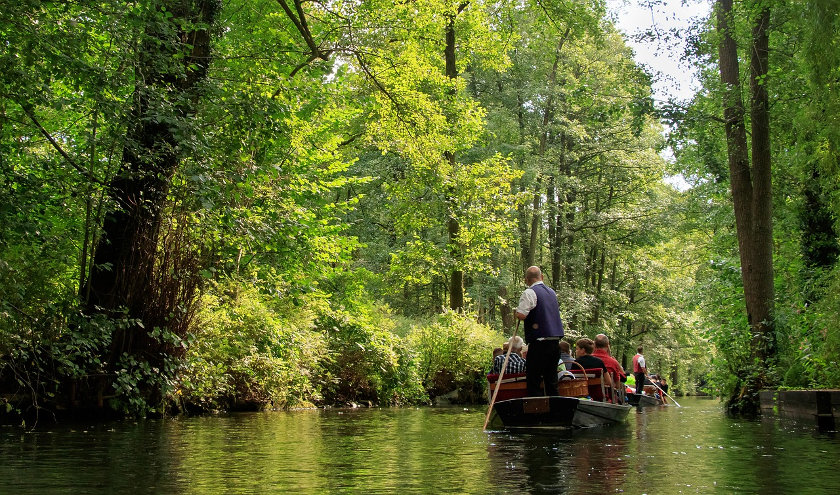 Spreewald canals in Brandenburg